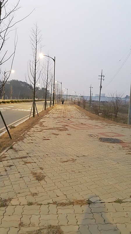 20151220_071853.jpg