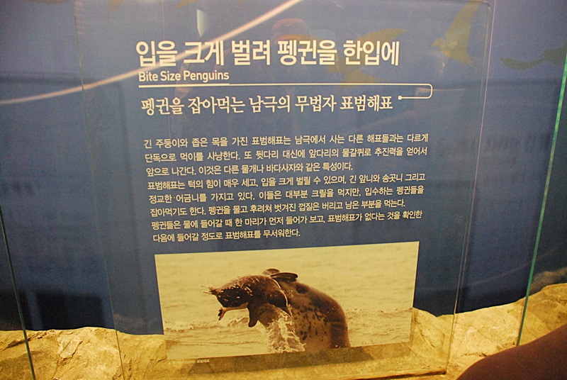 DSC_0868.JPG