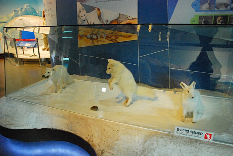 DSC_0849.JPG