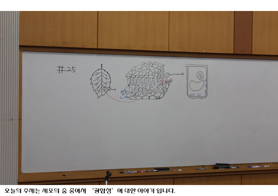 슬라이드2.GIF