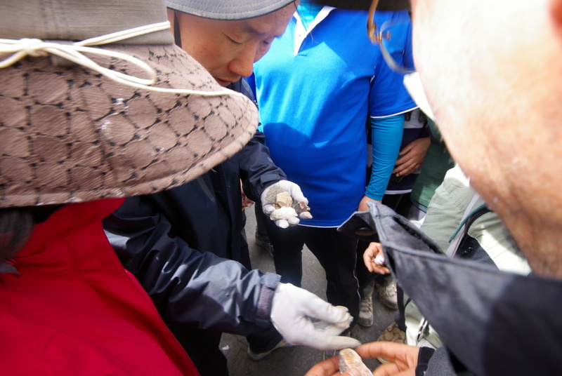 1-IMGP2158.JPG