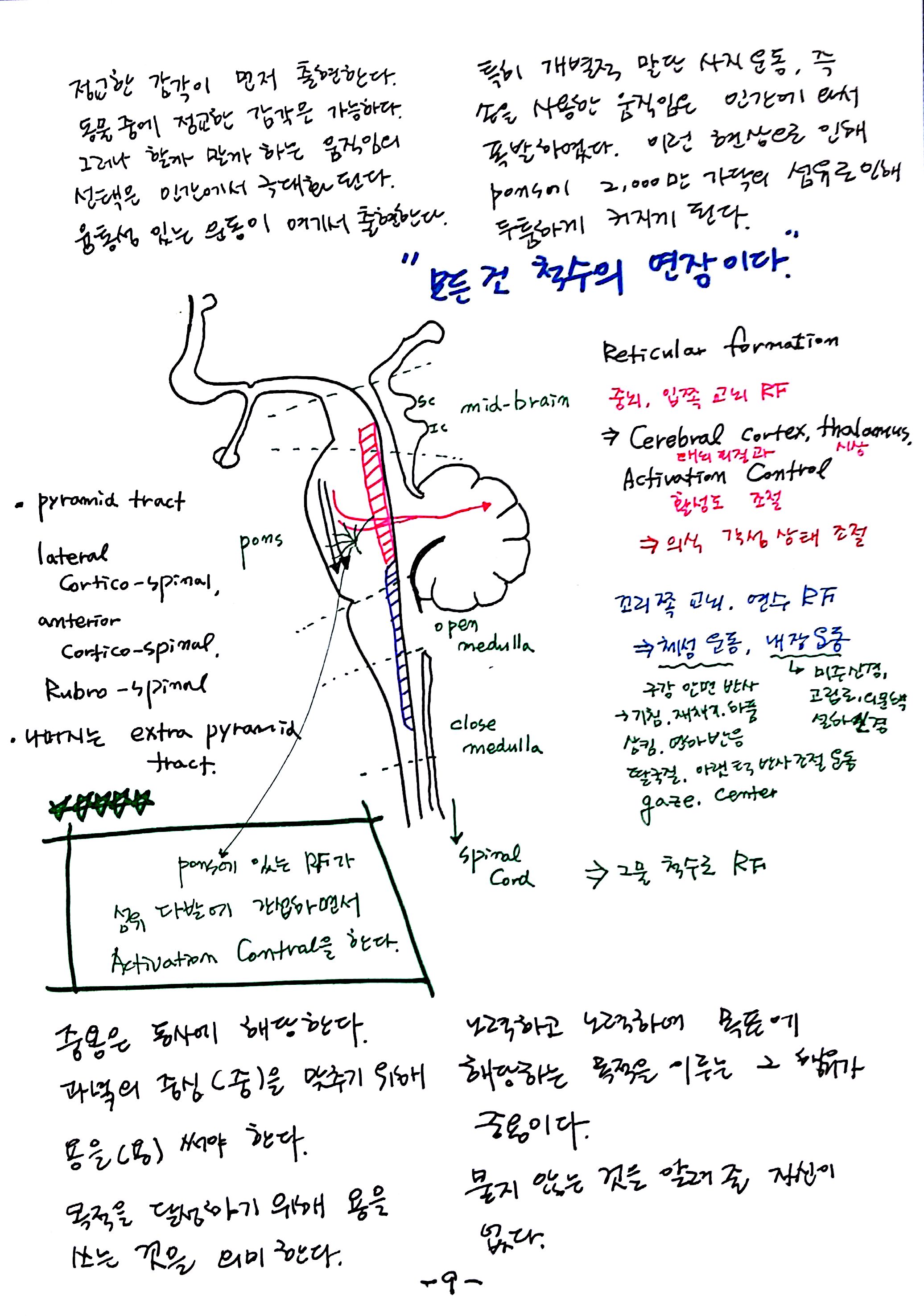 제6회특별한 뇌과학 제4강 자율,반사,수의 (9).jpg
