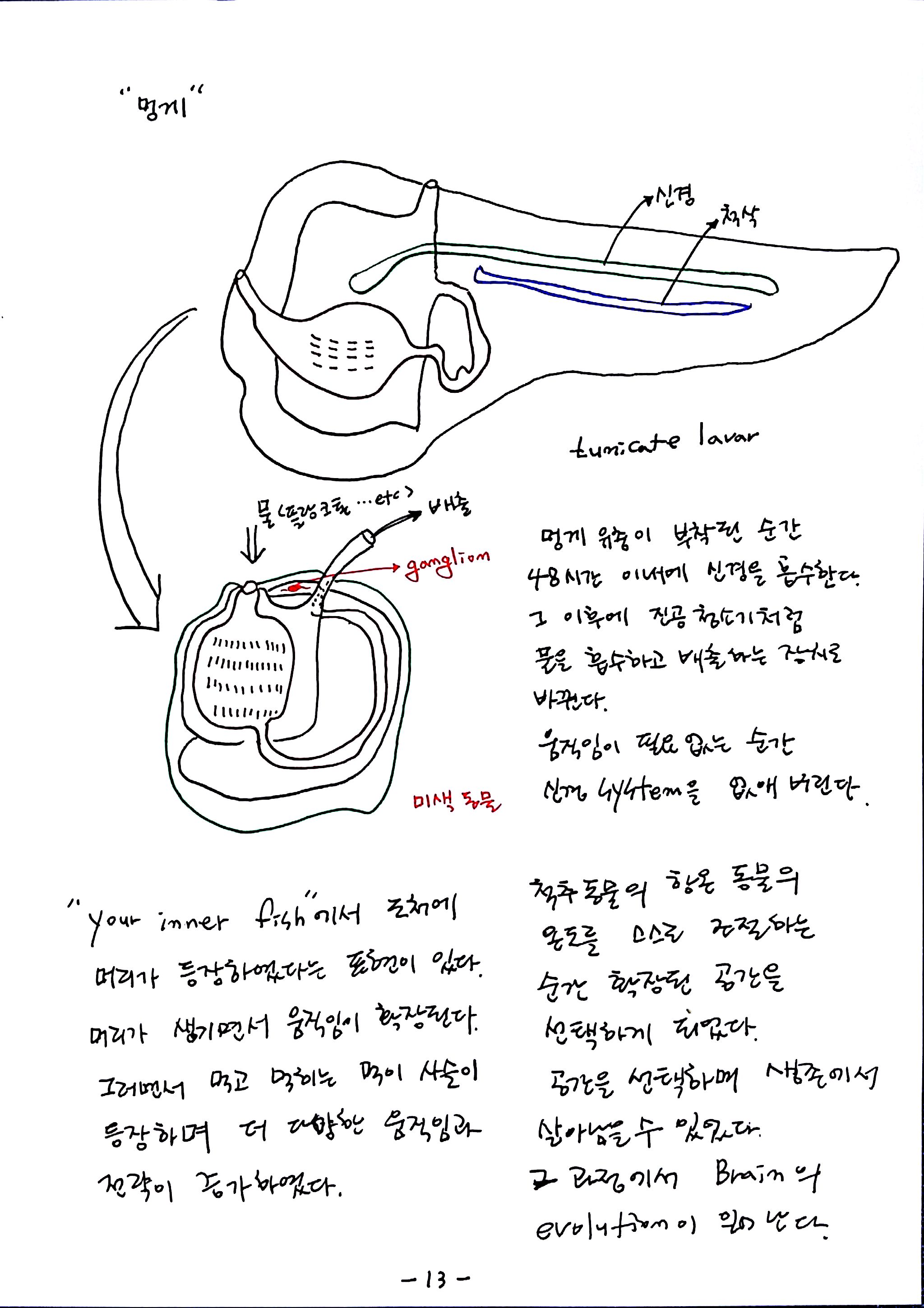 제6회특별한 뇌과학 제4강 자율,반사,수의 (13).jpg