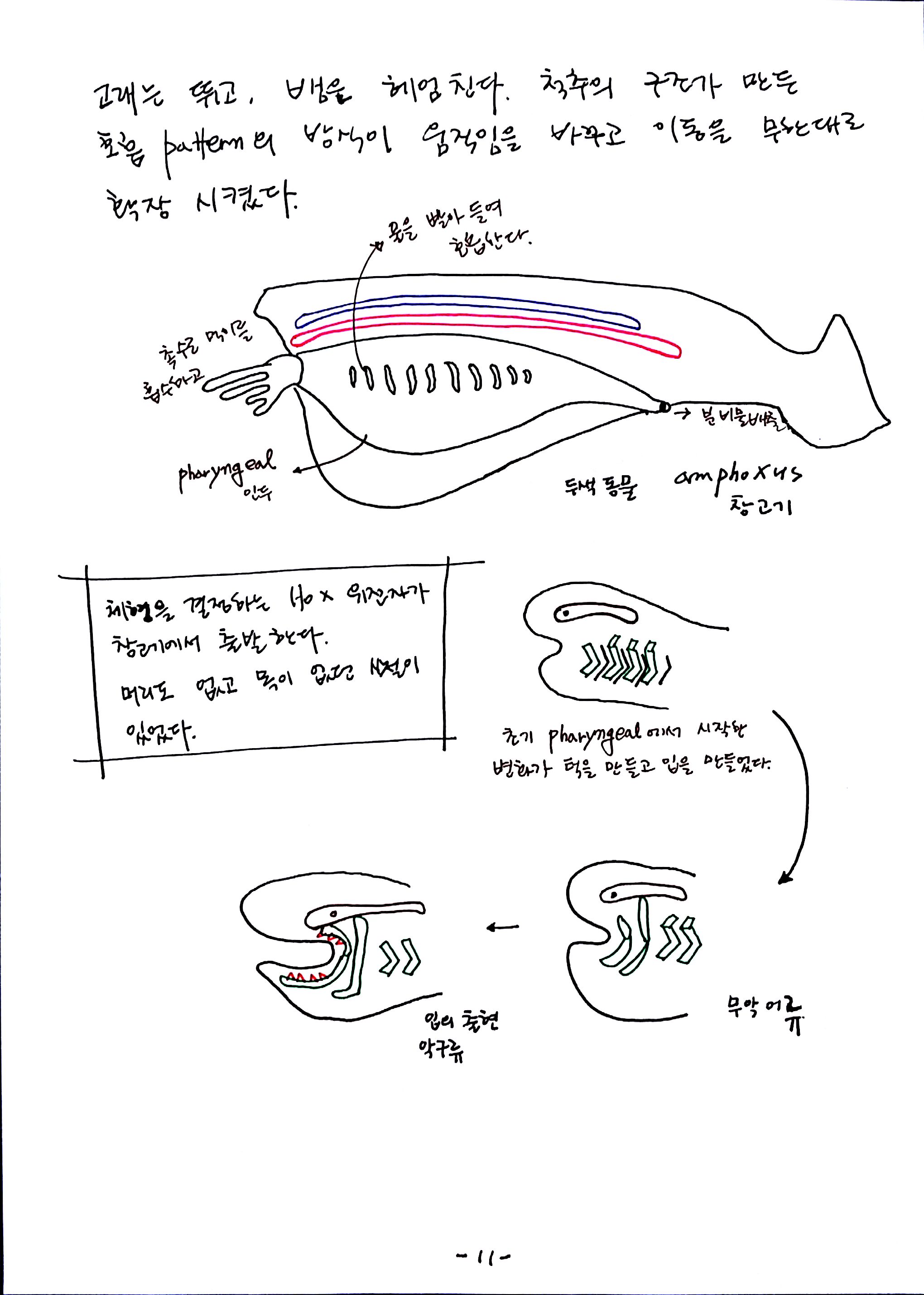 제6회특별한 뇌과학 제4강 자율,반사,수의 (11).jpg