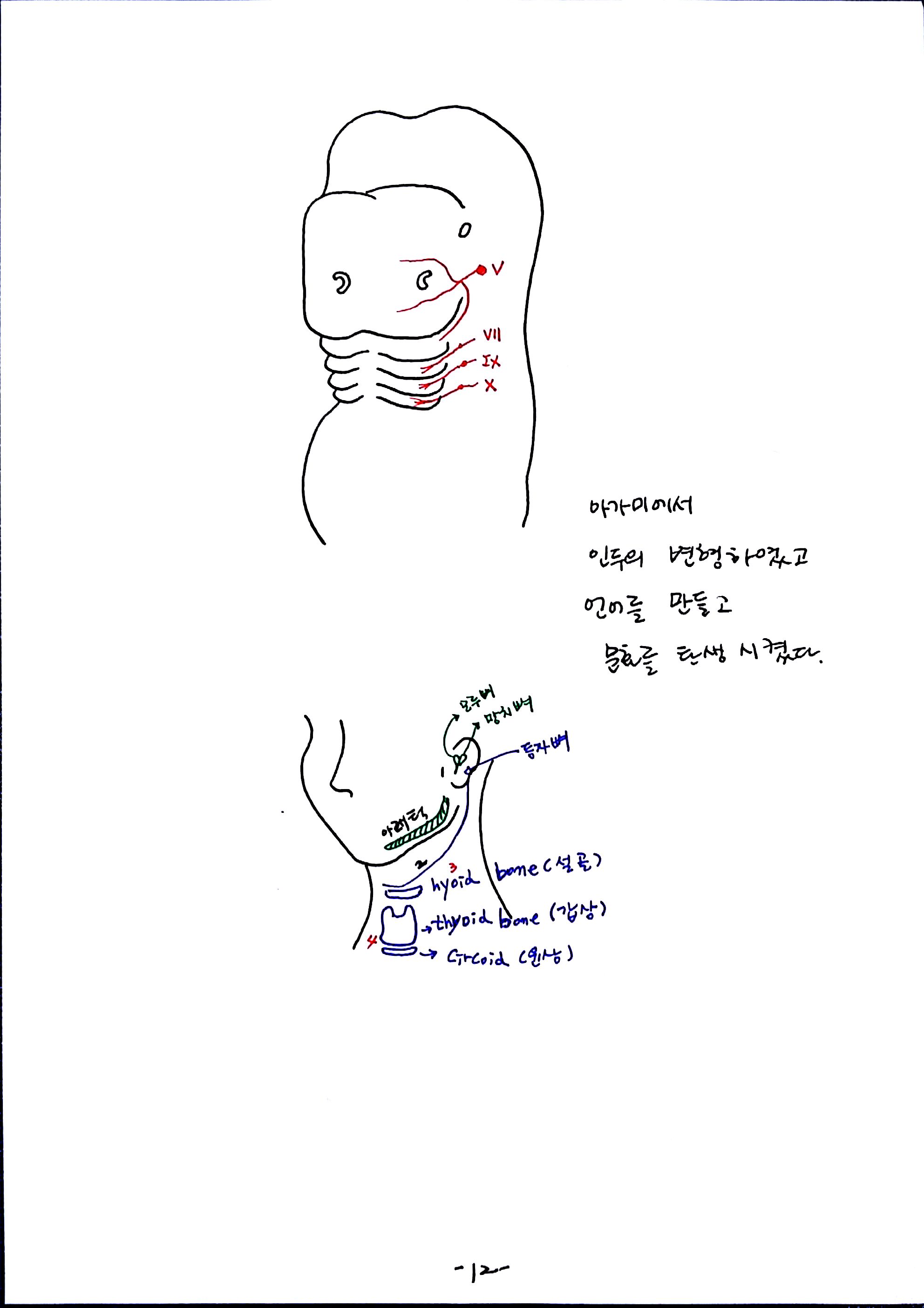 제6회특별한 뇌과학 제4강 자율,반사,수의 (12).jpg
