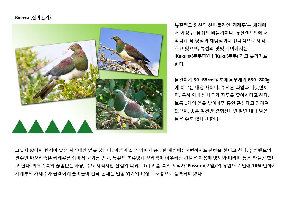 슬라이드24.JPG