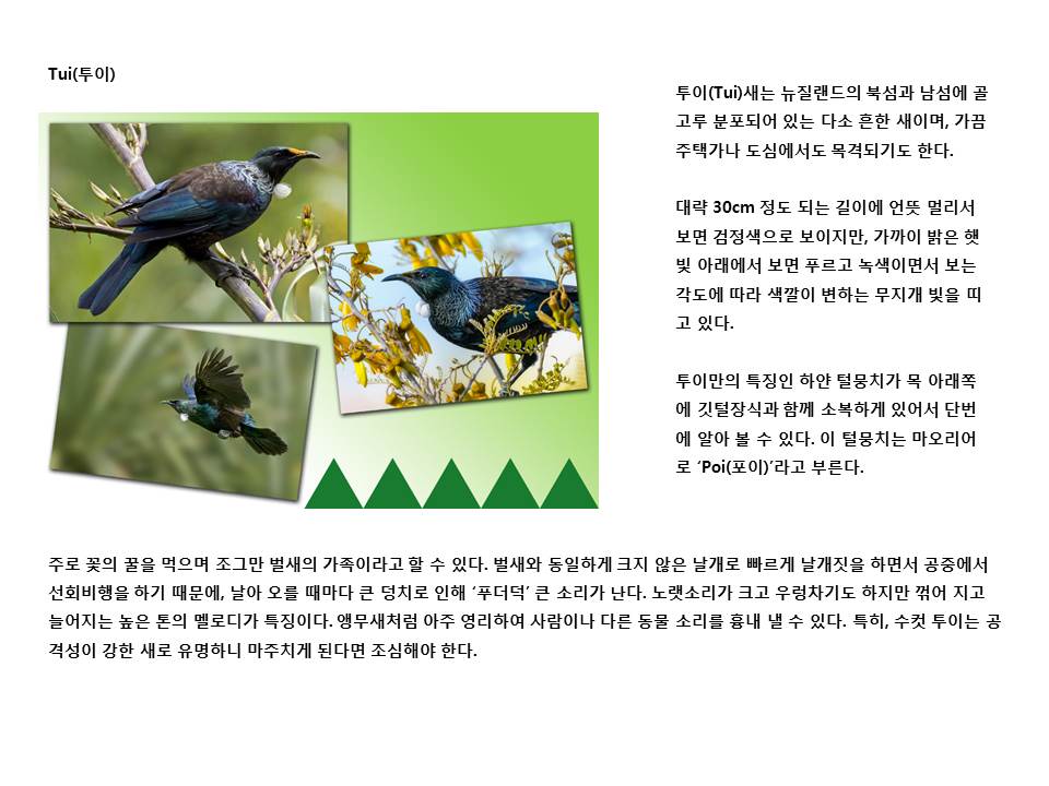슬라이드25.JPG