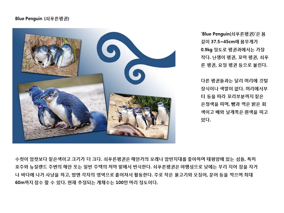슬라이드27.JPG