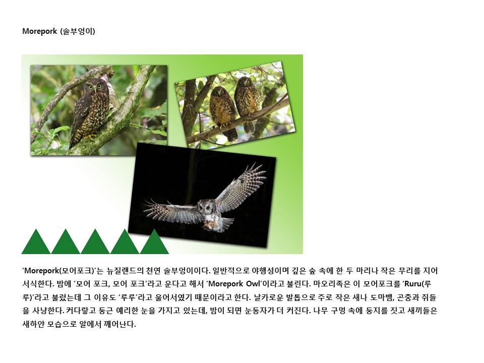 슬라이드29.JPG