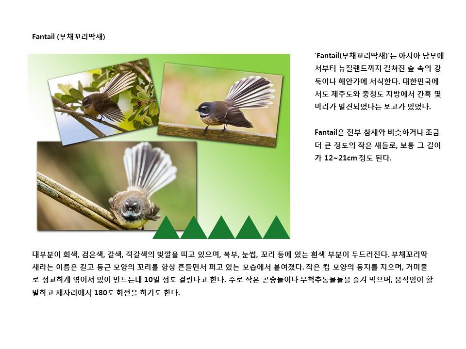 슬라이드26.JPG
