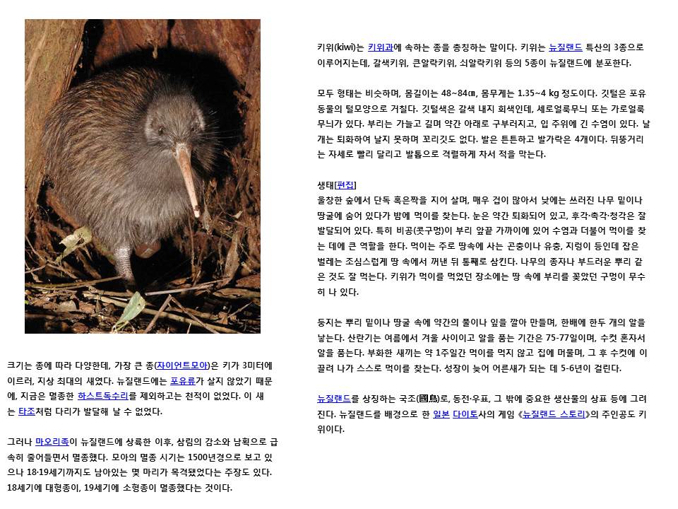 슬라이드39.JPG
