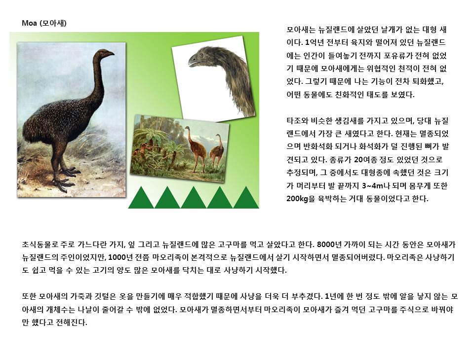 슬라이드23.JPG