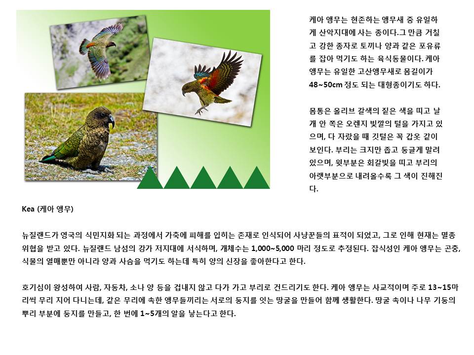슬라이드22.JPG