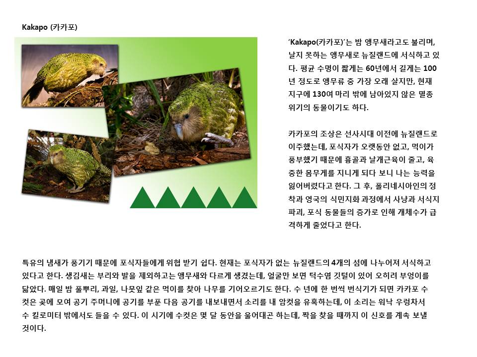 슬라이드28.JPG