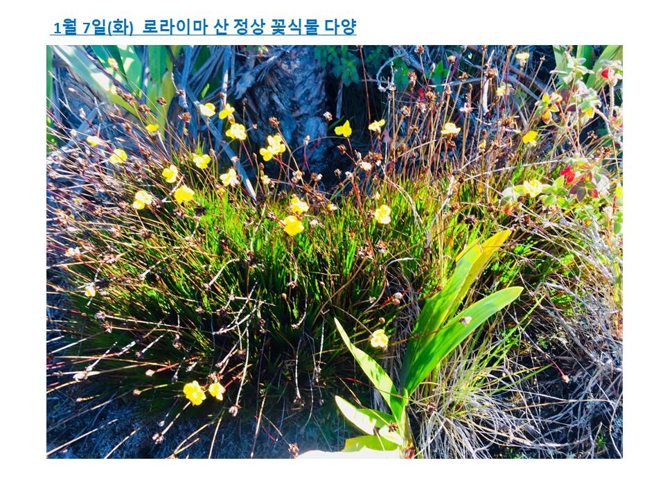 슬라이드40.JPG