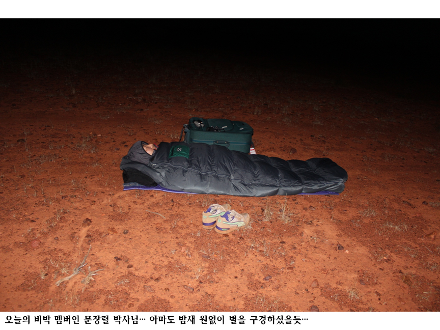 비박.png