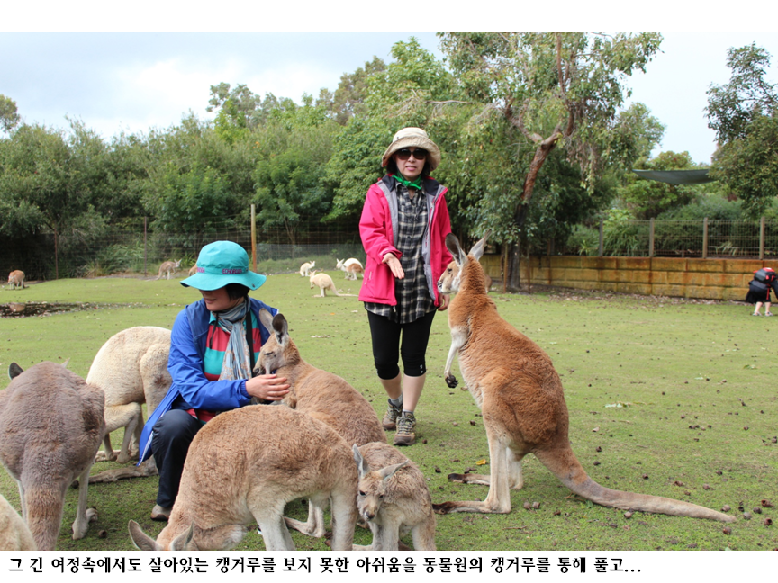 슬라이드134.PNG