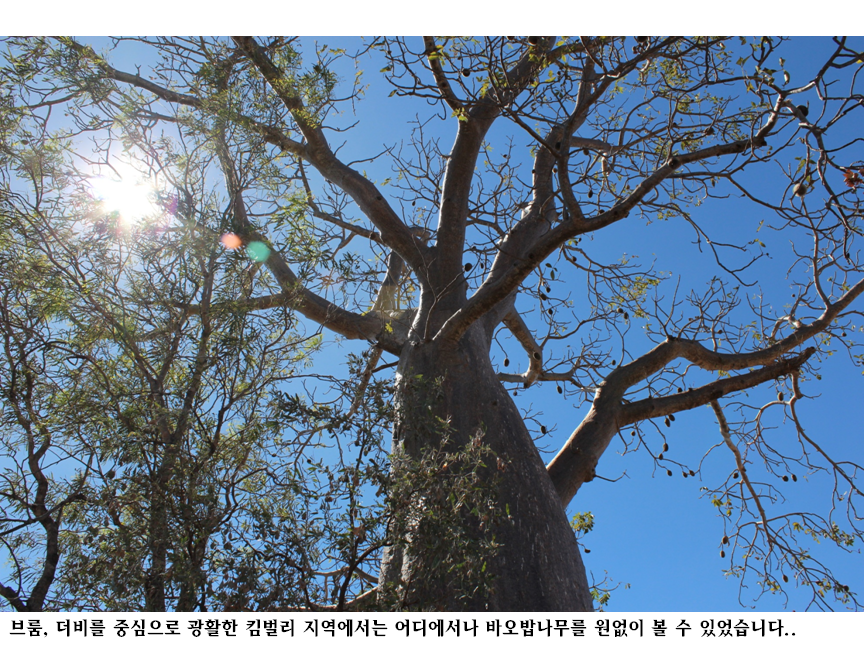 브룸,더비.png