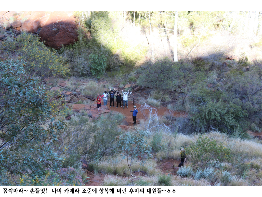 손들엇.png