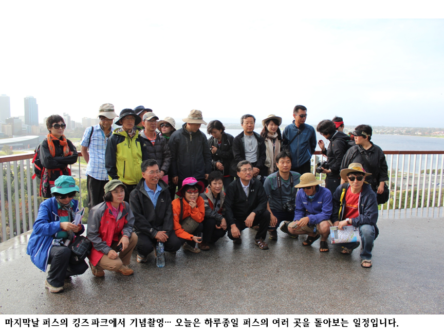 킹스파크.png