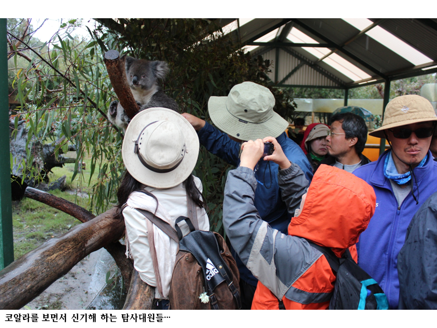 슬라이드137.PNG