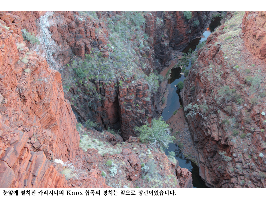 Knox 협곡.png