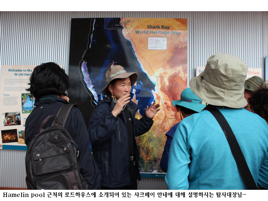 하멜린풀.png