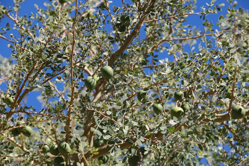 2586-20171224-233312.JPG