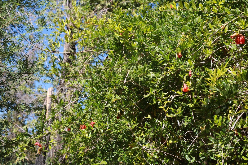 2571-20171224-233301.JPG