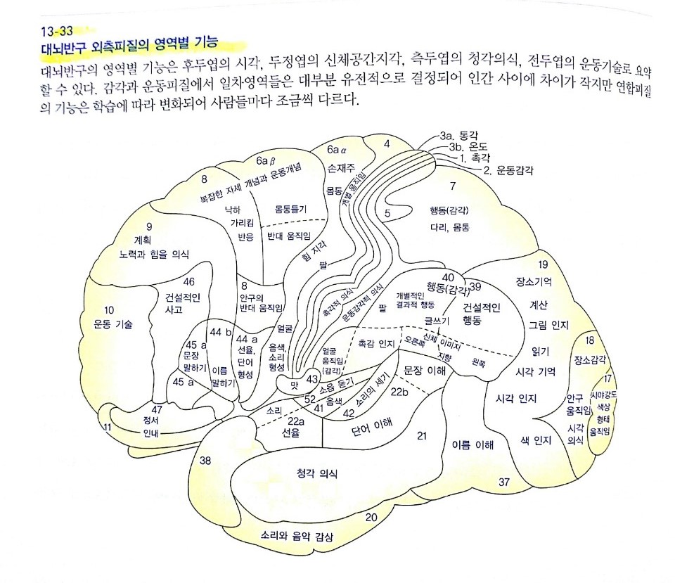 KakaoTalk_20170211_141038351.jpg