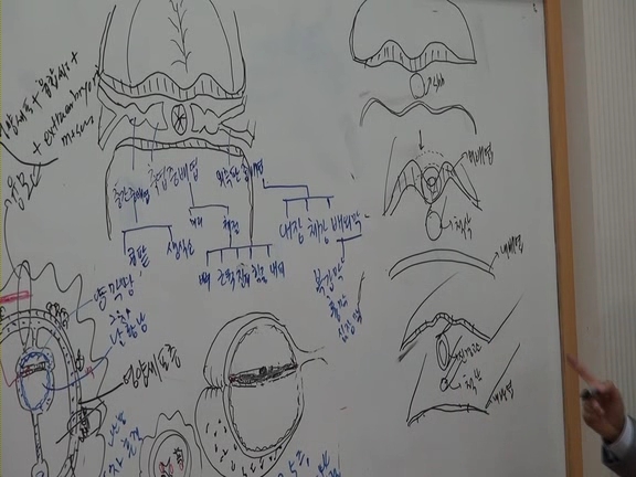 제3회 특별한뇌과학 제1강_03.wmv_002142517.jpg