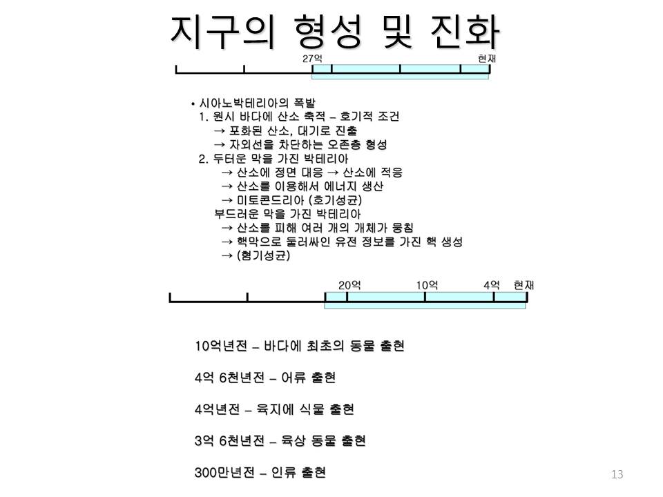 슬라이드13.JPG