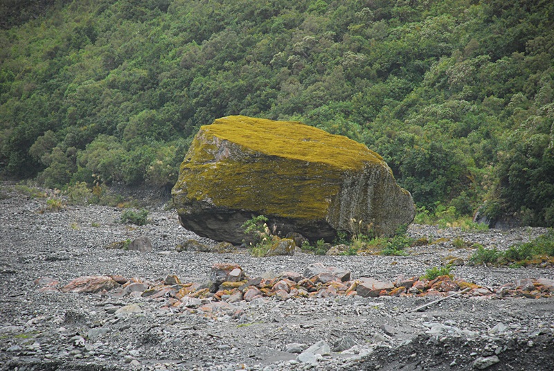 DSC_0889.JPG