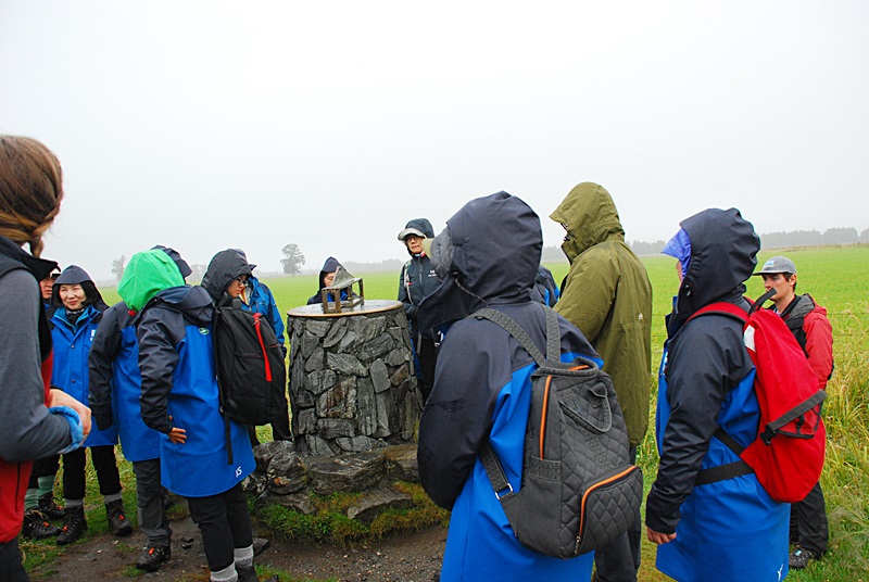 DSC_0132.JPG