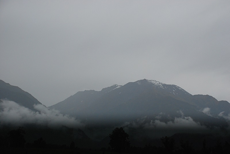 DSC_0833.JPG