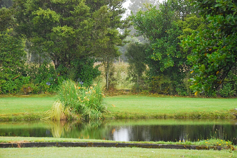 DSC_0125.JPG