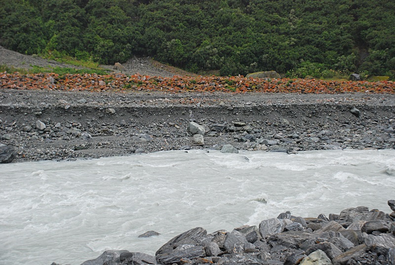 DSC_0054.JPG