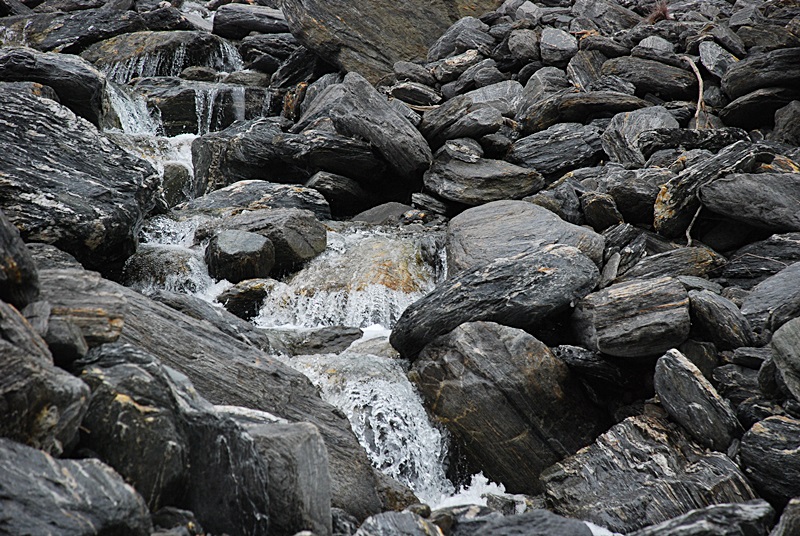 DSC_0911.JPG