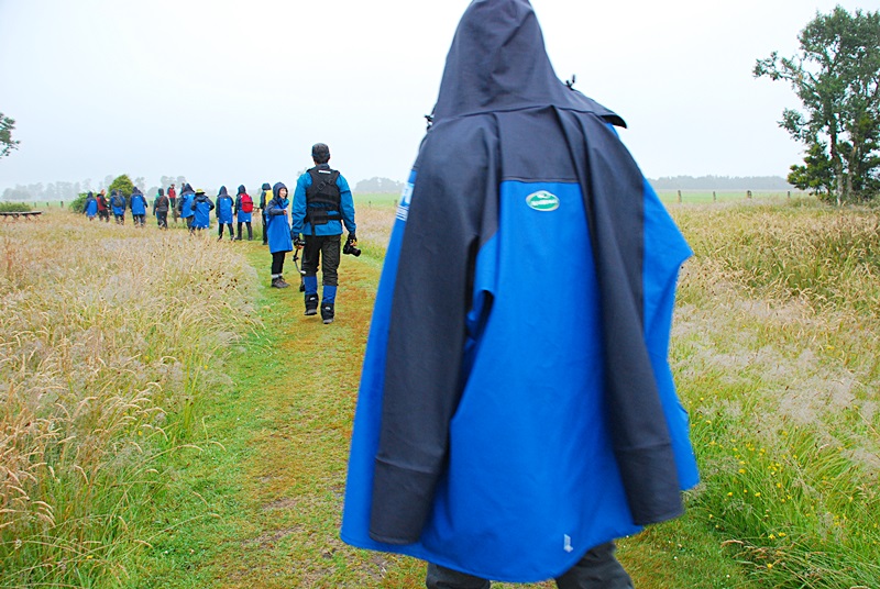 DSC_0130.JPG