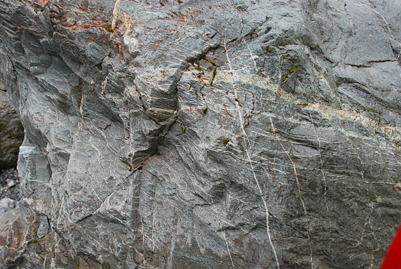 DSC_0925.JPG