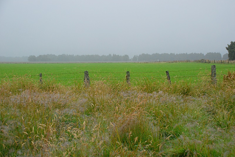 DSC_0142.JPG