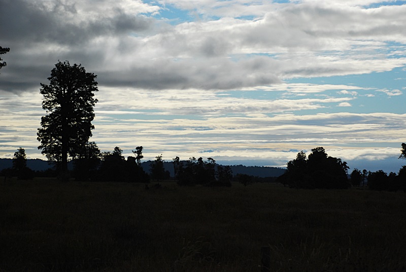 DSC_0062.JPG