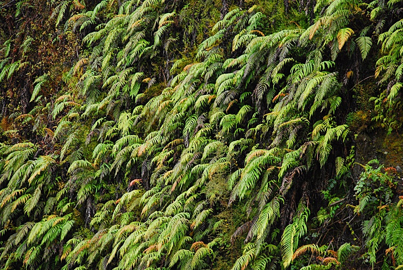 DSC_0843.JPG