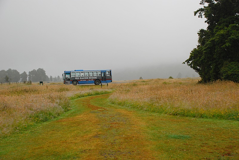 DSC_0138.JPG