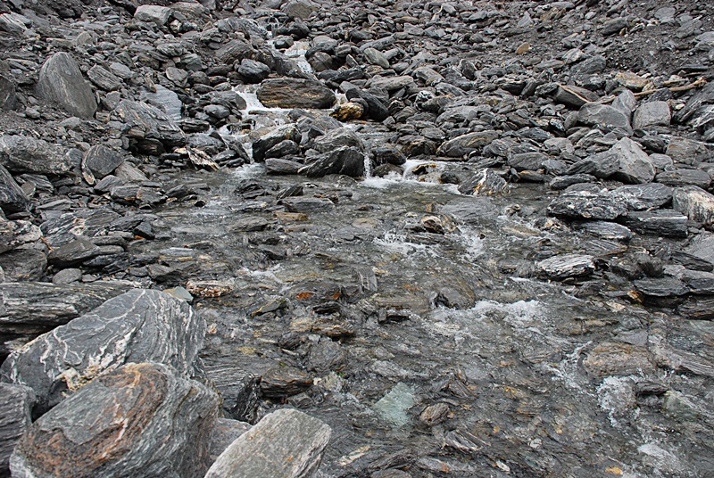 DSC_0910.JPG