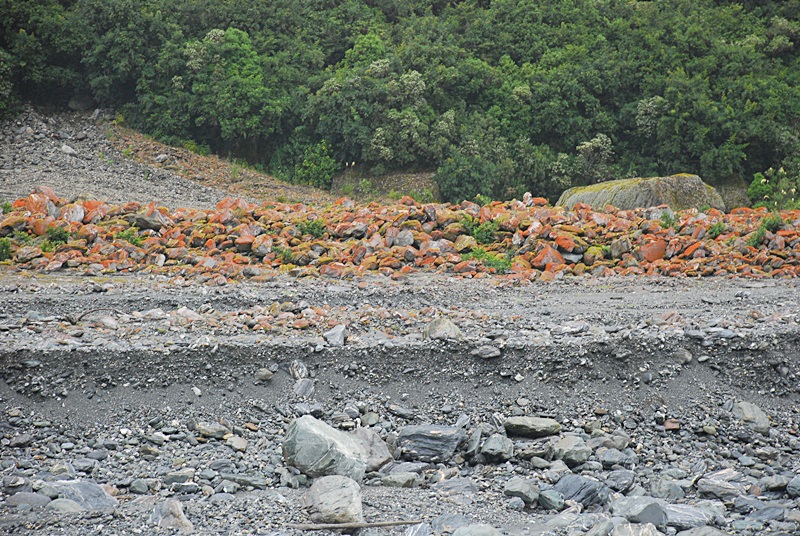 DSC_0053.JPG