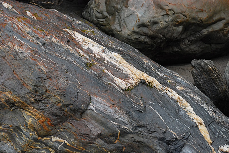 DSC_0874.JPG