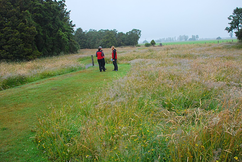 DSC_0127.JPG