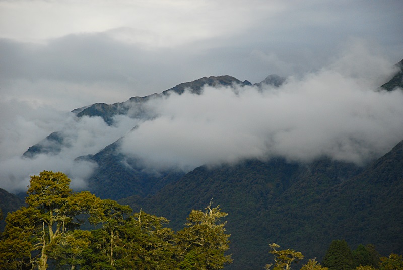 DSC_0057.JPG