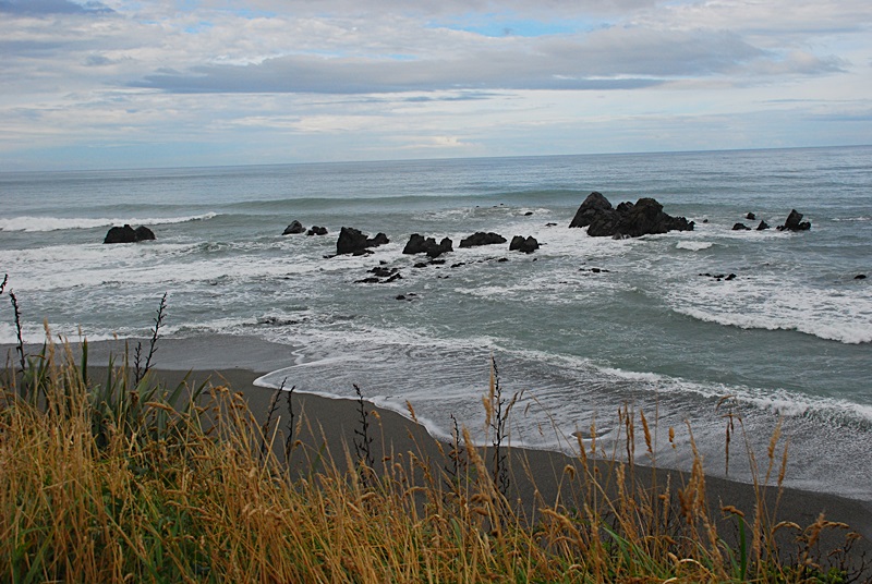 DSC_0826.JPG